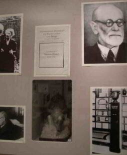 6 conceptos comunes del Psicoanálisis y el Management