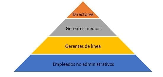 Niveles administrativos (Robbins, 2005) 