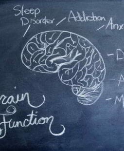Noradrenalina. Aversión a las Pérdidas y Neurofinanzas