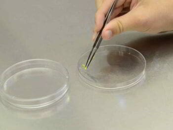 El rigor científico en la investigación cualitativa El rigor científico en la investigación cualitativa