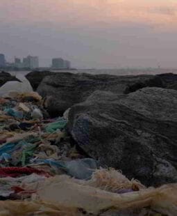 Gestión externa de residuos y responsabilidad social compartida