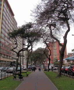 Impacto del impuesto general a las ventas y sus descuentos en una empresa del Perú