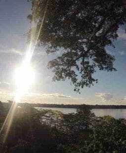 Control interno efectivo en la gestión de empresas de vigilancia y seguridad de la Amazonía Peruana