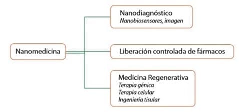 Áreas de investigación de la Nanomedicina. Tomado del artículo escrito por Laura M. Lechuga (2007)