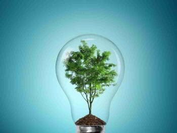 Tecnologías verdes y sustentabilidad