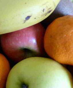 Innovación tecnológica para el desarrollo sustentable de la industria alimentaria