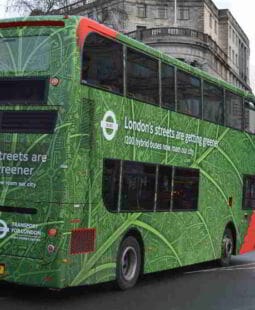 Tecnología Verde. ¿Qué es sustentabilidad?