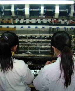 Outsourcing y su impacto en las empresas