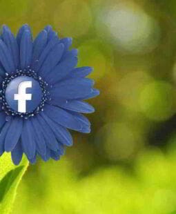 Reflexiones sobre la Cultura Digital Reflexiones sobre la Cultura Digital