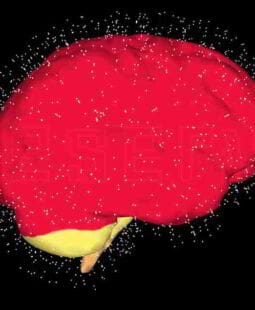 Programación neurolingüística para la toma de decisiones