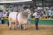 Fomento del Turismo en el Departamento de Córdoba Colombia