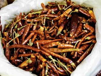 Importancia de la exportación del Chile Mexicano Importancia de la exportación del Chile Mexicano