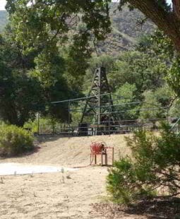 Recopilación de daños ecológicos en norteamérica. Desde la ecología histórica hasta el Antropoceno