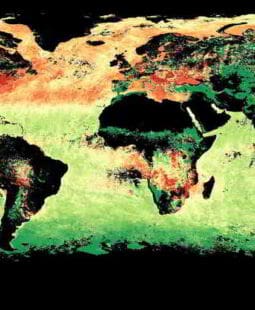 Un mundo mejor a través del desarrollo sustentable y las tecnologías verdes