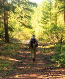 Si tu plan no funciona… cambia el plan y no la meta