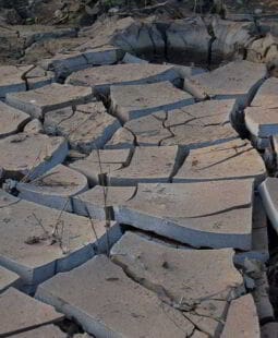 En materia de cambio climático Trump no es el mayor problema