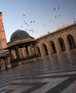 Guerra en Siria. Análisis de la gestión de crisis  y sus elementos en un caso real