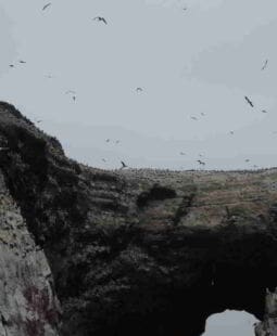 Áreas naturales protegidas en Perú ANP