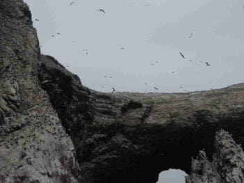 Áreas naturales protegidas en Perú ANP