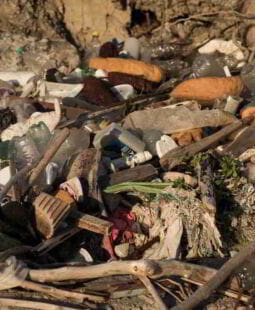 Pobreza y deterioro ambiental en el Perú