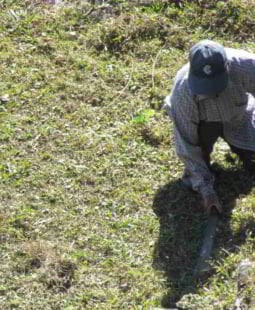 Sobrecostos laborales e informalidad en el Perú