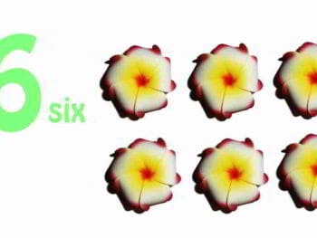 Seis aspectos clave para emprendedores Seis aspectos clave para emprendedores