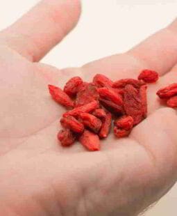 Dimensión integral de la Responsabilidad Social Empresarial