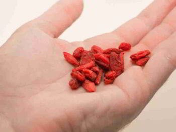 Dimensión integral de la Responsabilidad Social Empresarial Dimensión integral de la Responsabilidad Social Empresarial