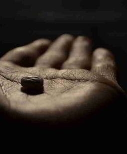 Drogas. Conocimiento y no Adicción