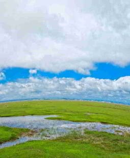 Sustentabilidad y Tecnología Verde. Formas para convivir con la Tierra