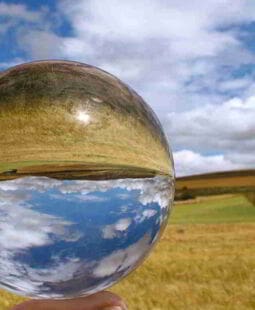 Ética ecológica. Un mundo frágil