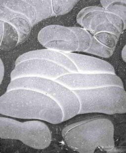 Nanociencia y Nanotecnología