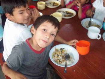 Etiquetado de los alimentos envasados en la lucha contra la obesidad infantil en el Perú