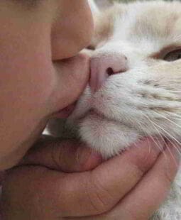 Reflexiones sobre Responsabilidad