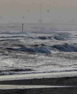 Raíz de la Calidad de Vida: la Salud.