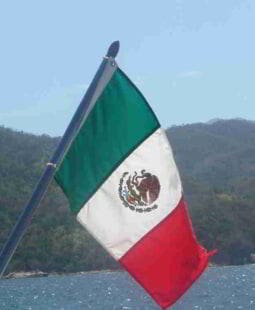 Bienes intangibles en la ley aduanera y el impuesto al valor agregado en México