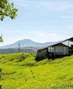 Costa Rica no ha podido enfrentar adecuadamente la Pobreza, Desigualdad y el Desempleo