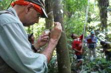 Cacao en Perú. Tesoro de la biodiversidad amazónica para el mundo