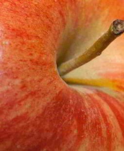 Identidad Corporativa: la fruta prohibida que nadie quiere probar