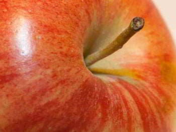 Identidad Corporativa: la fruta prohibida que nadie quiere probar