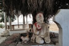 Gurús de la administración