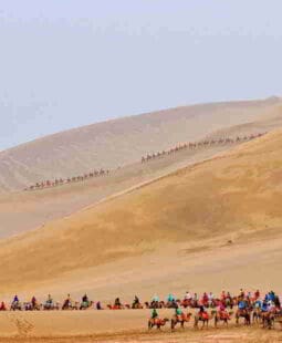 Un gran Khan en Italia. Sobre la ruta de la Seda