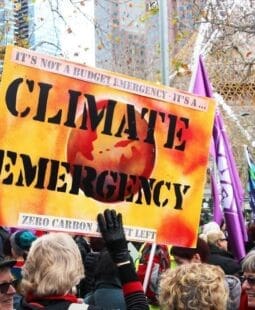 De cómo llegamos a la Emergencia Climática