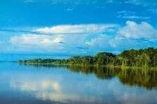 Día Internacional de los Bosques: ¿Quién es el dueño de la selva del Amazonas?