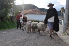 Campesinos, tierra y desarrollo rural en Colombia