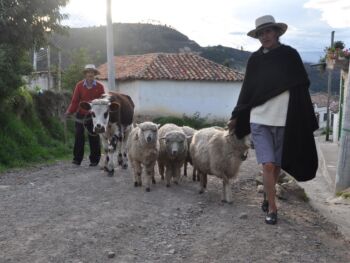 Campesinos, tierra y desarrollo rural en Colombia