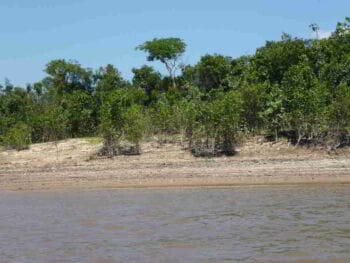 El Amazonas. El mayor reservorio de agua dulce del planeta y la amenaza de sequía