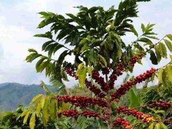 Colombia: País estratégico para negocios