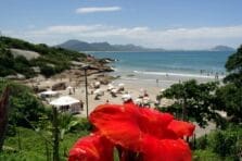 Brasil: Desafíos y Oportunidad