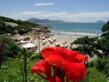 Brasil: Desafíos y Oportunidad